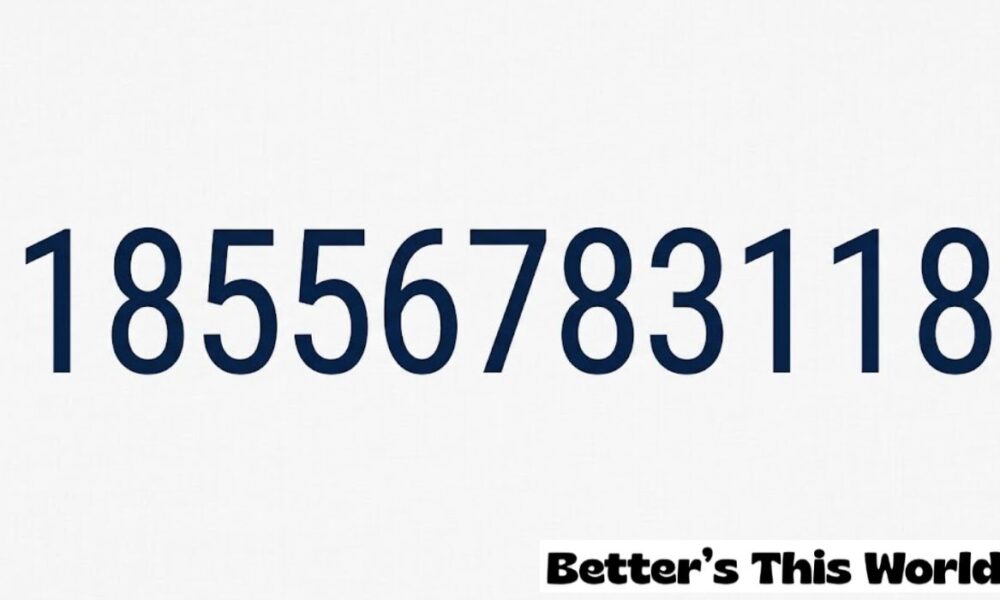 18556783118