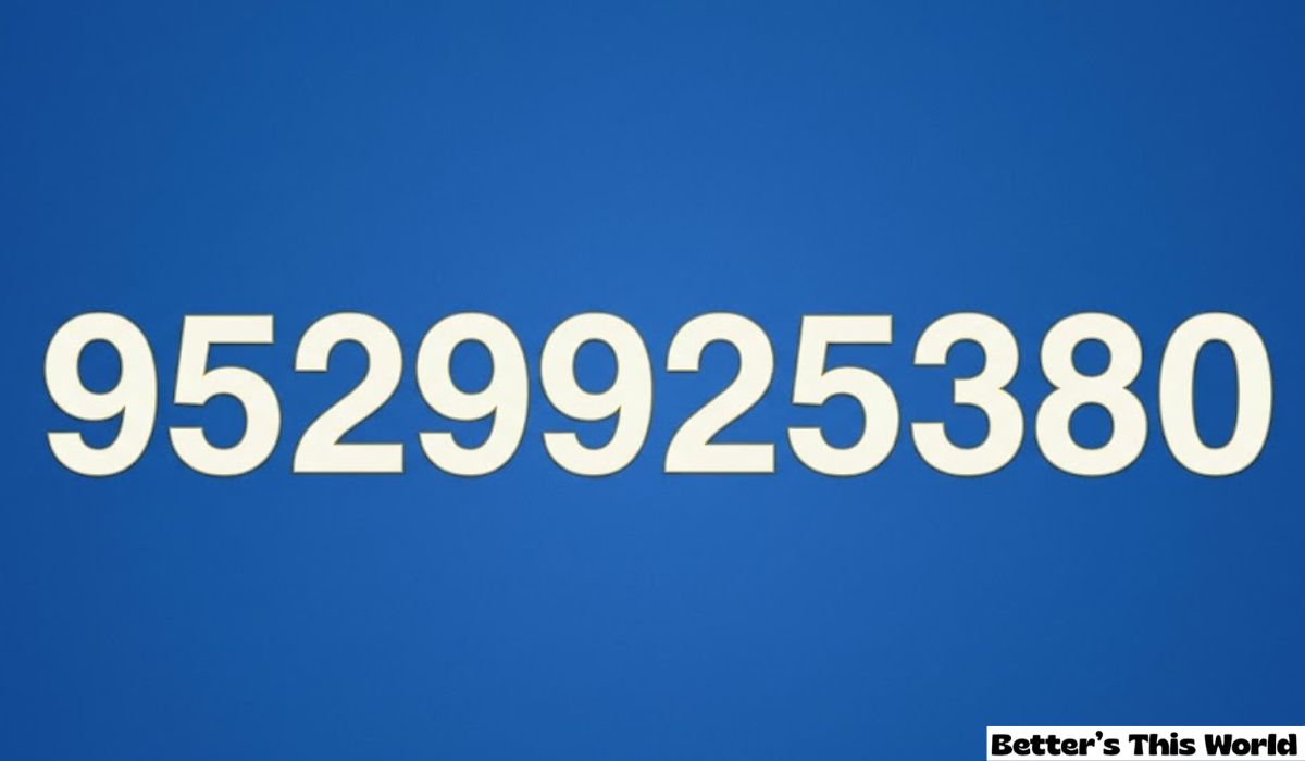 9529925380
